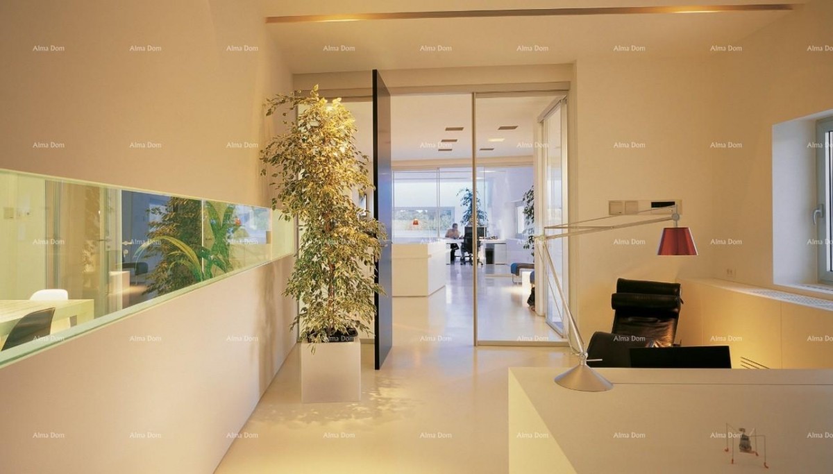 Пула/Веруда! Частный дом в отличном месте! 17