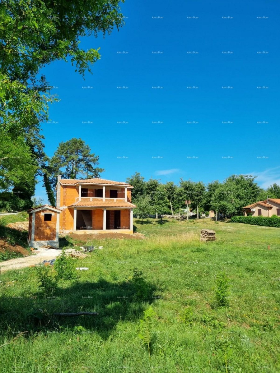 House Pazin 13