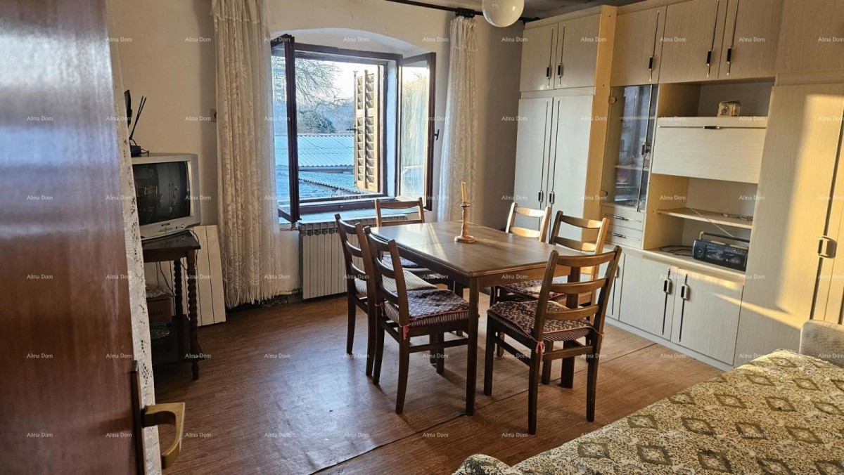 ŽMINJ (okolice) - odlična kamena kuća s dvorištem 3