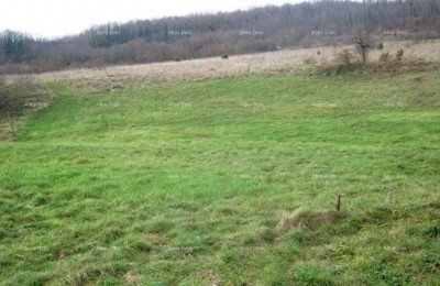 Sveta Nedelja – Gradbena zemljišča 5.141 m²