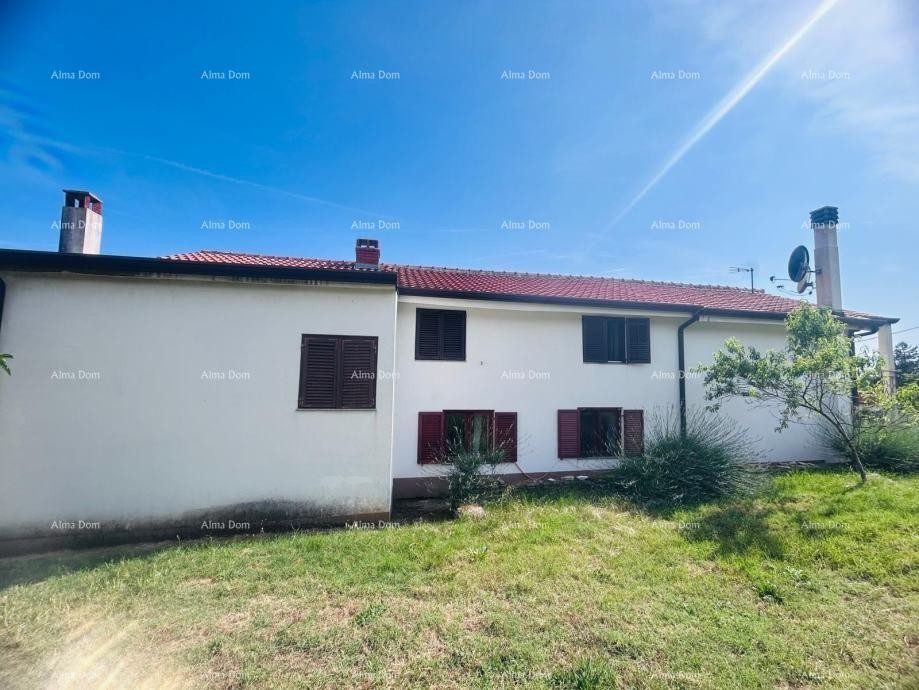 Buje – Samostojeća kuća s maslinikom i građevinskim zemljištem 2