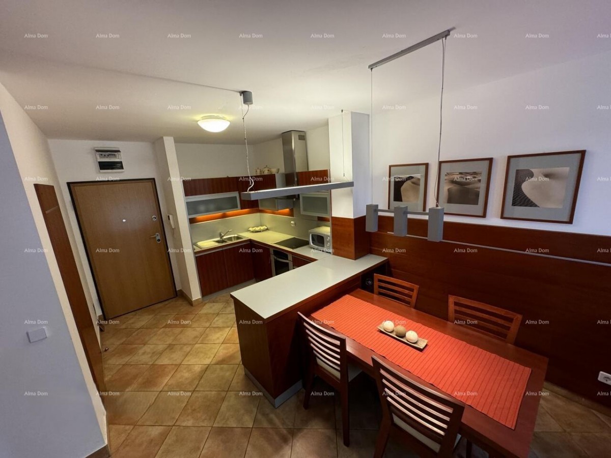 Apartment Novigrad 3