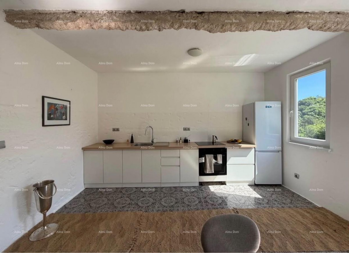 Labin – Casa con 3 appartamenti, 220 m², giardino 700 m², ottimo investimento 3