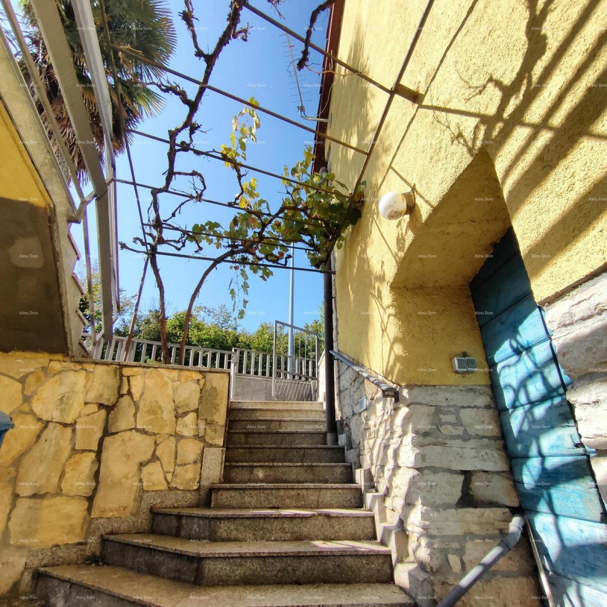 House Pazin 12