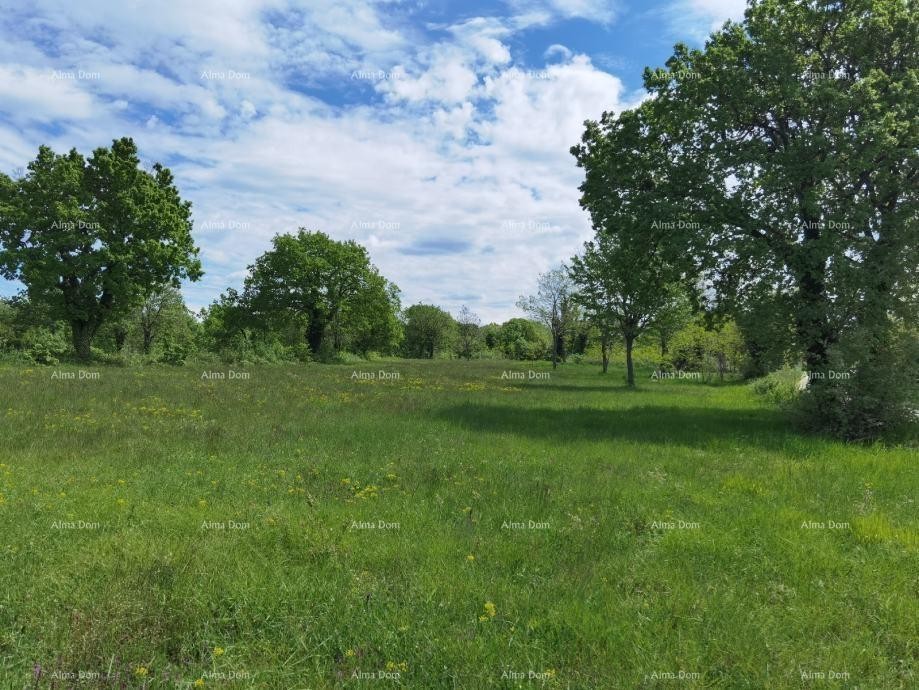 Продается земельный участок, Вишнян. Идеально для строительства 20 домов для отдыха. 15