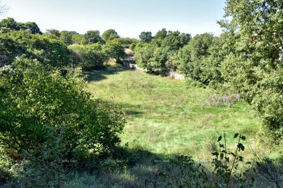 Plot Svetvinčenat 9