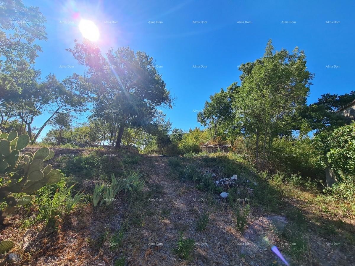 Stancija pri Vodnjanu! Veliko zemljišče 6390 m2!! 4