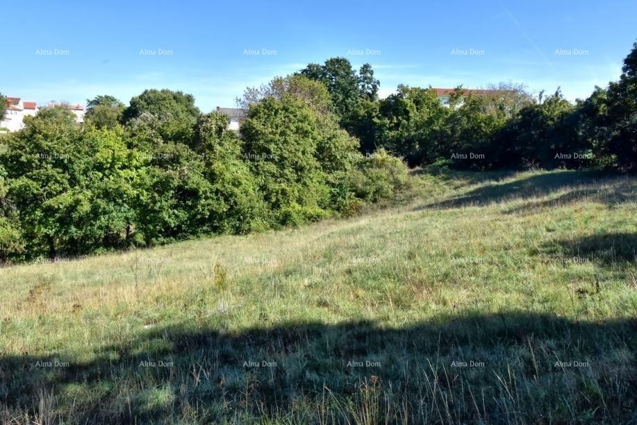 Plot Svetvinčenat 4