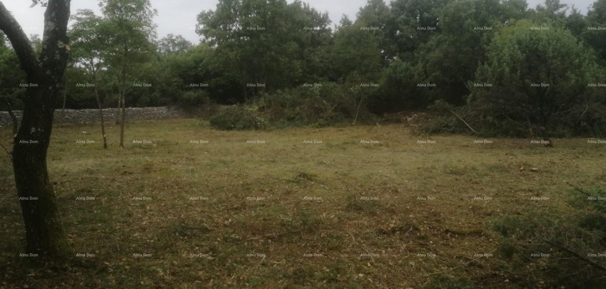 Эемля Svetvinčenat 4