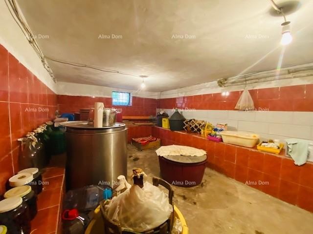 Просторный дом в Пуле с большим двором и множеством возможностей 7