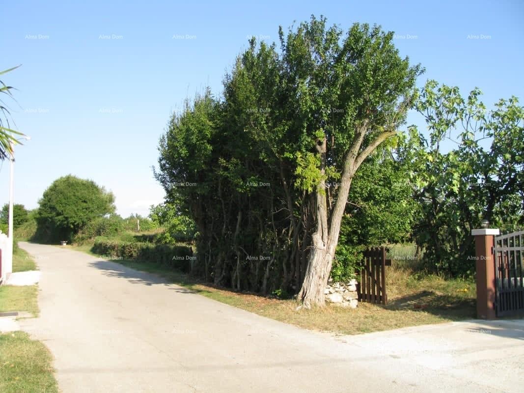 BARBAN - Prodaje se građevinsko zemljište,1329 m2 / 300 m od centra 3