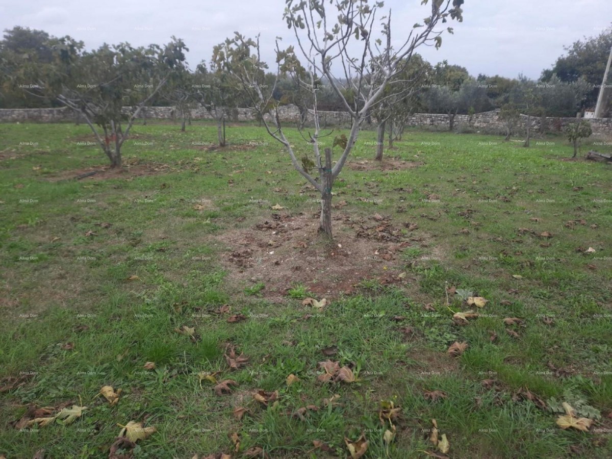 Marčana – gradbena zemljišča 2102 m² 3