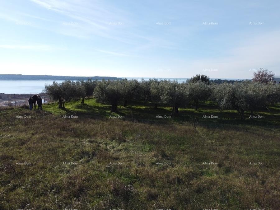 Apartma s strešno teraso - Residence Novi Home Novigrad 9
