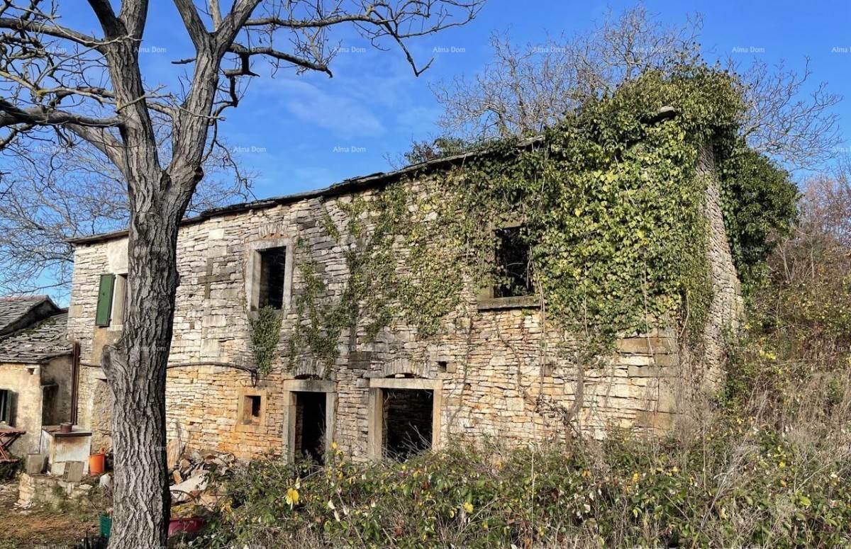 Продажа - каменный дом для ремонта с большим участком земли, Опрталь! 6