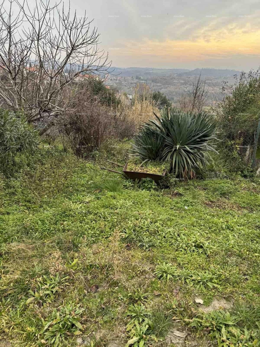 A house with a yard near the center, Buje! 30