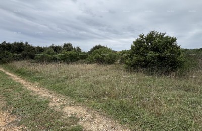 PULA, Valelunga - Građevinska parcela PADULJ