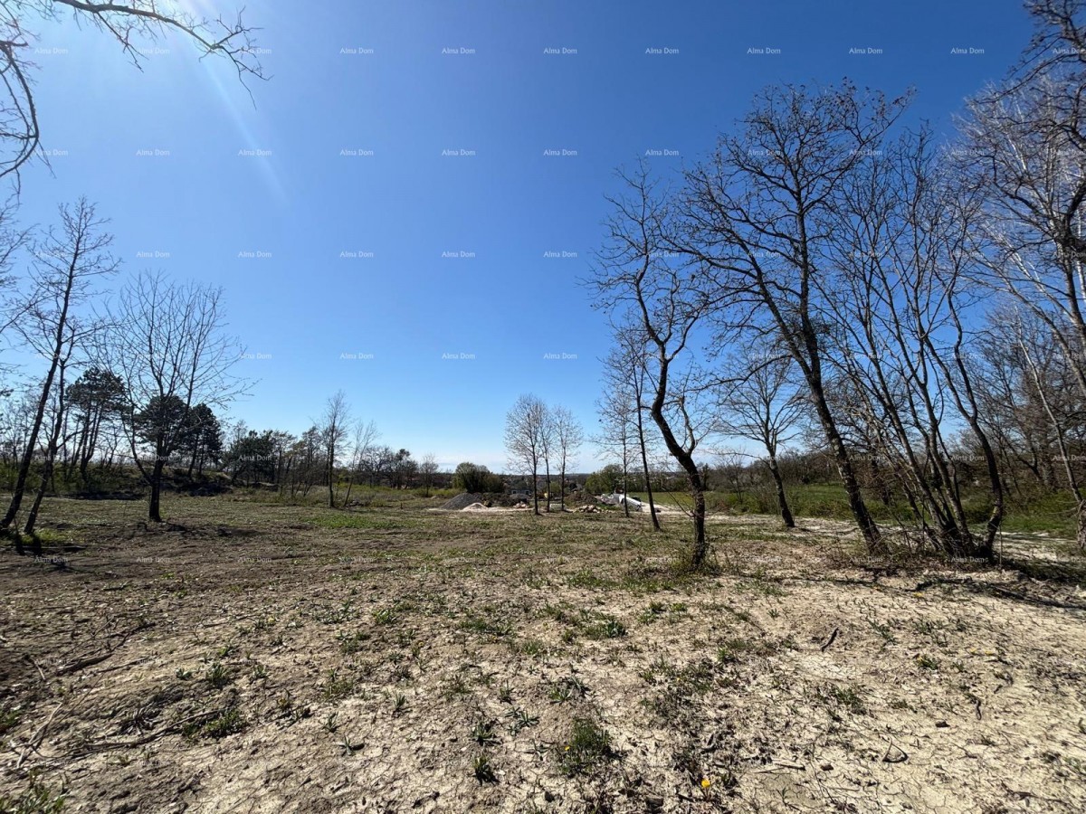 PAZIN (Istria) - terreno edificabile 1543 m2, nella zona verde 1