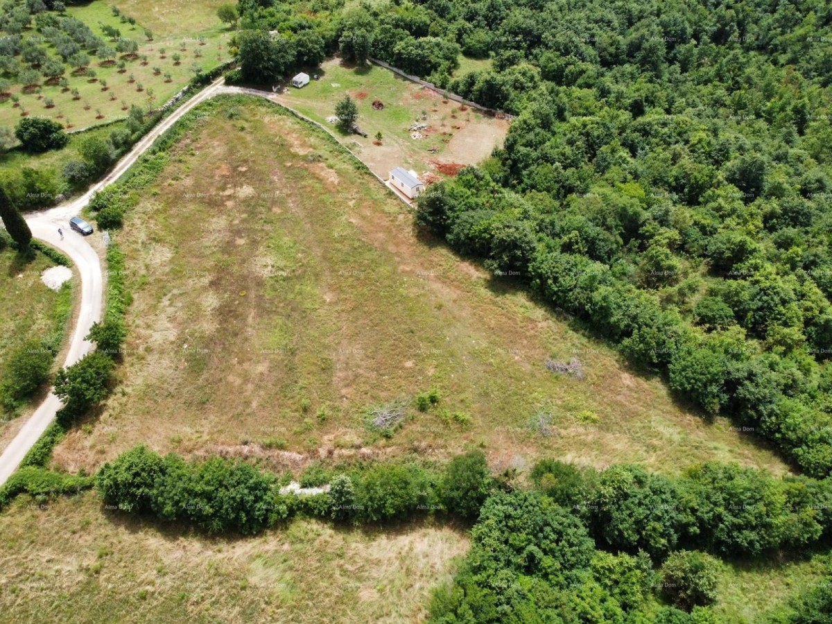 Near Vodnjan! Plots with building permit! 4