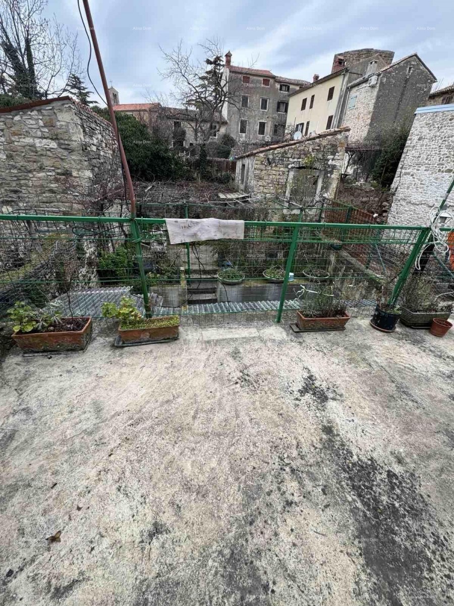 A house with a yard near the center, Buje! 3