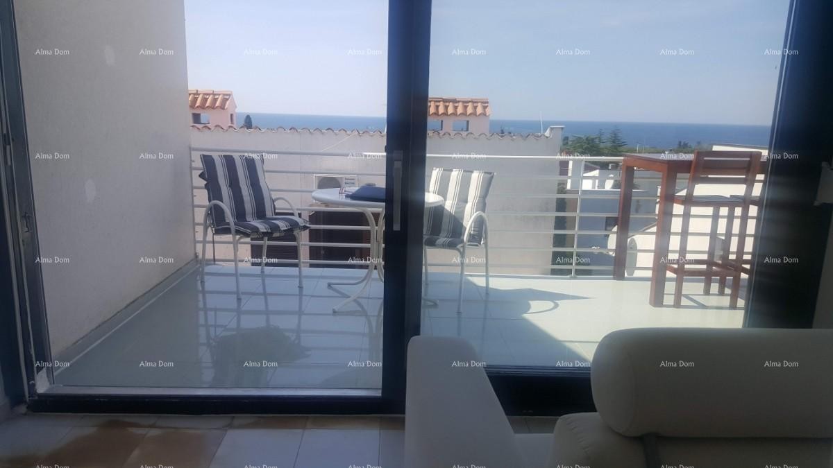 Apartment Novigrad 15