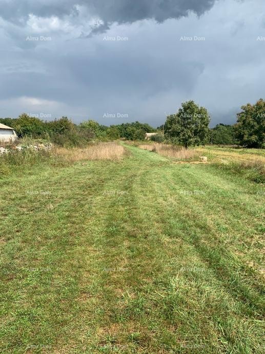 Эемля Svetvinčenat 5