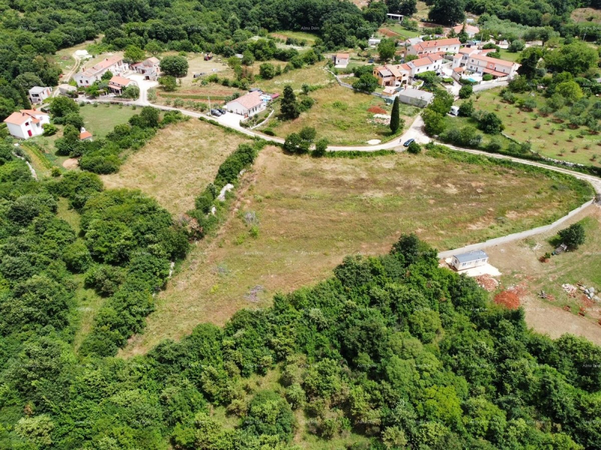 Near Vodnjan! Plots with building permit! 6