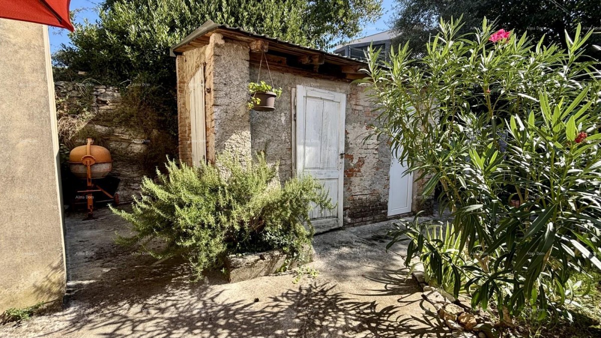 ПУЛА, центр – продажа квартиры 55 м² с садом и парковочным местом 16