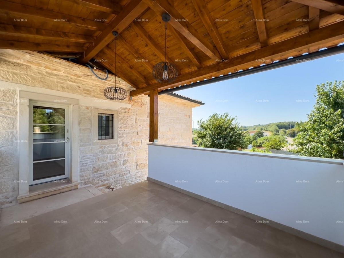 Редкость на рынке!   Istra  Barban 36