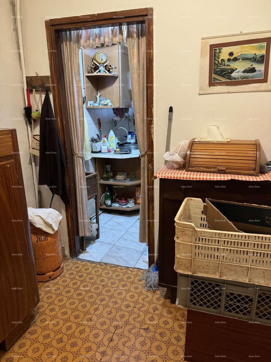 A house with a yard near the center, Buje! 20