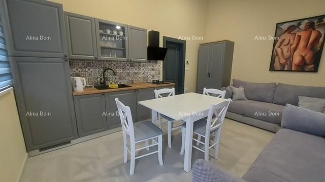 Luxury, fully furnished Istrian villa with a studio apartment, pool, and sea view, Kanfanar! 17