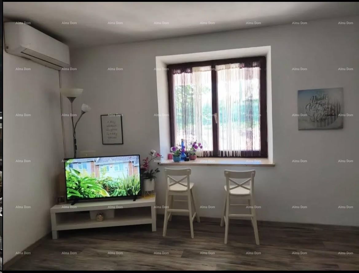 HOUSE ON RED PEAK NEAR UMAG – 3 FLOORS 2