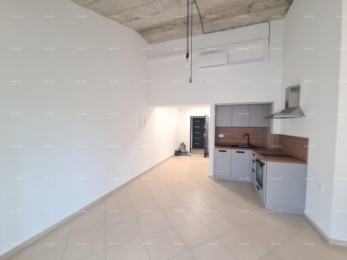 Istra. Pula. Veli vrh. 10