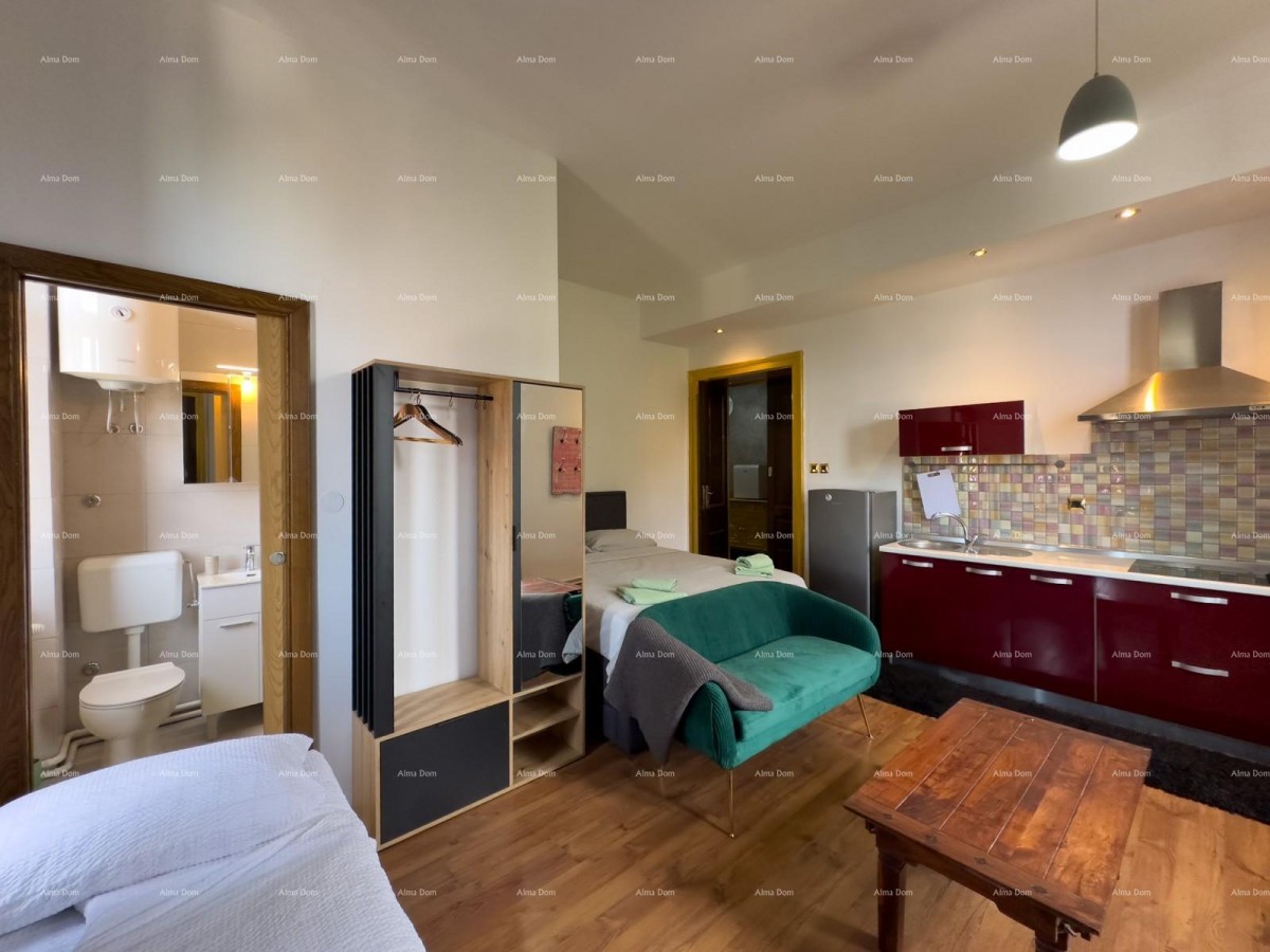 Vendita di un appartamento in centro con 4 unità abitative, Pola! 25