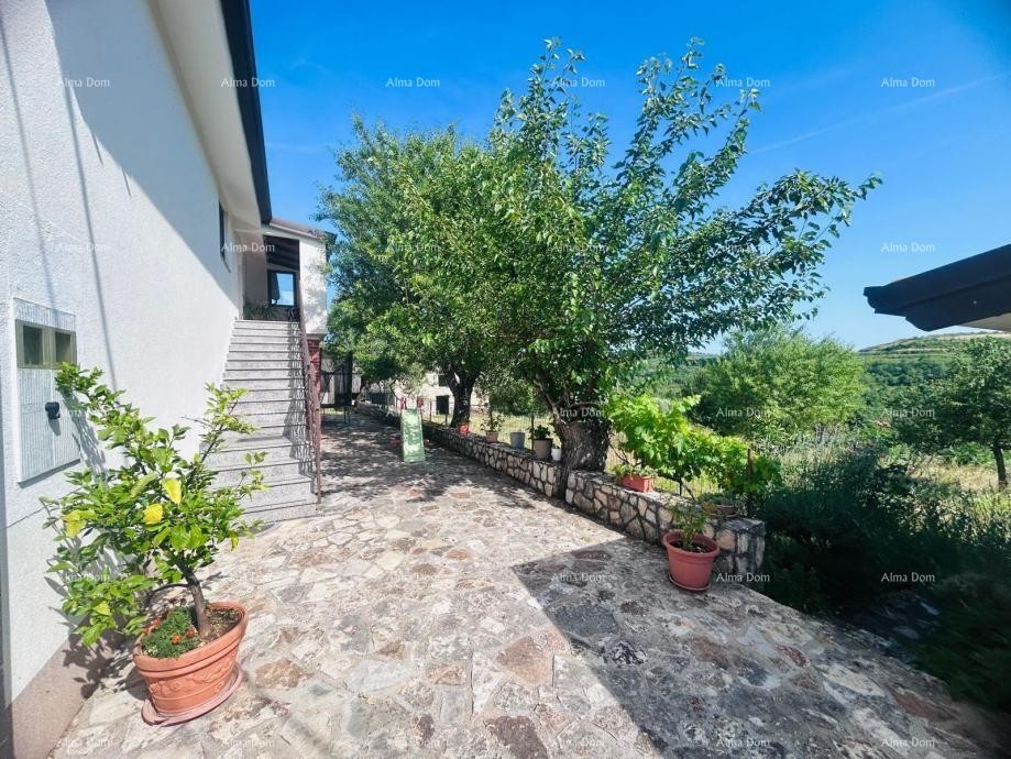 Buje – Samostojeća kuća s maslinikom i građevinskim zemljištem 5