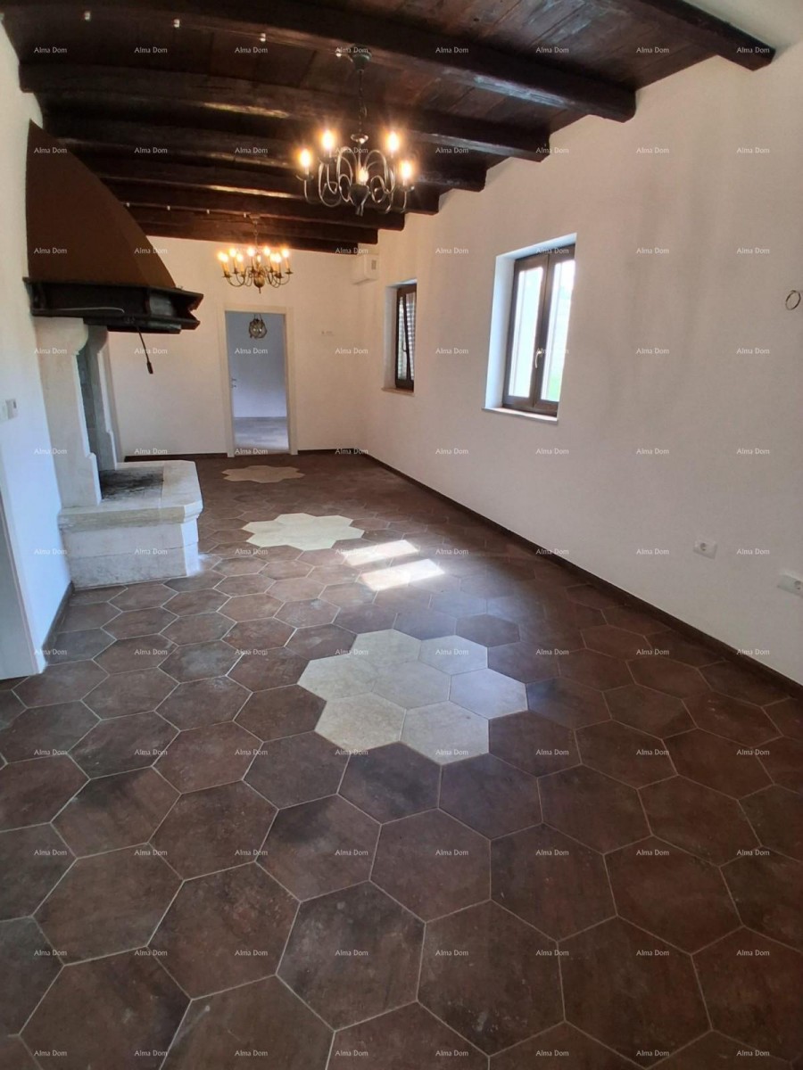 Продажа - роскошный дом на большом участке с бассейном, спа-салоном и тренажерным залом, Пореч! 10