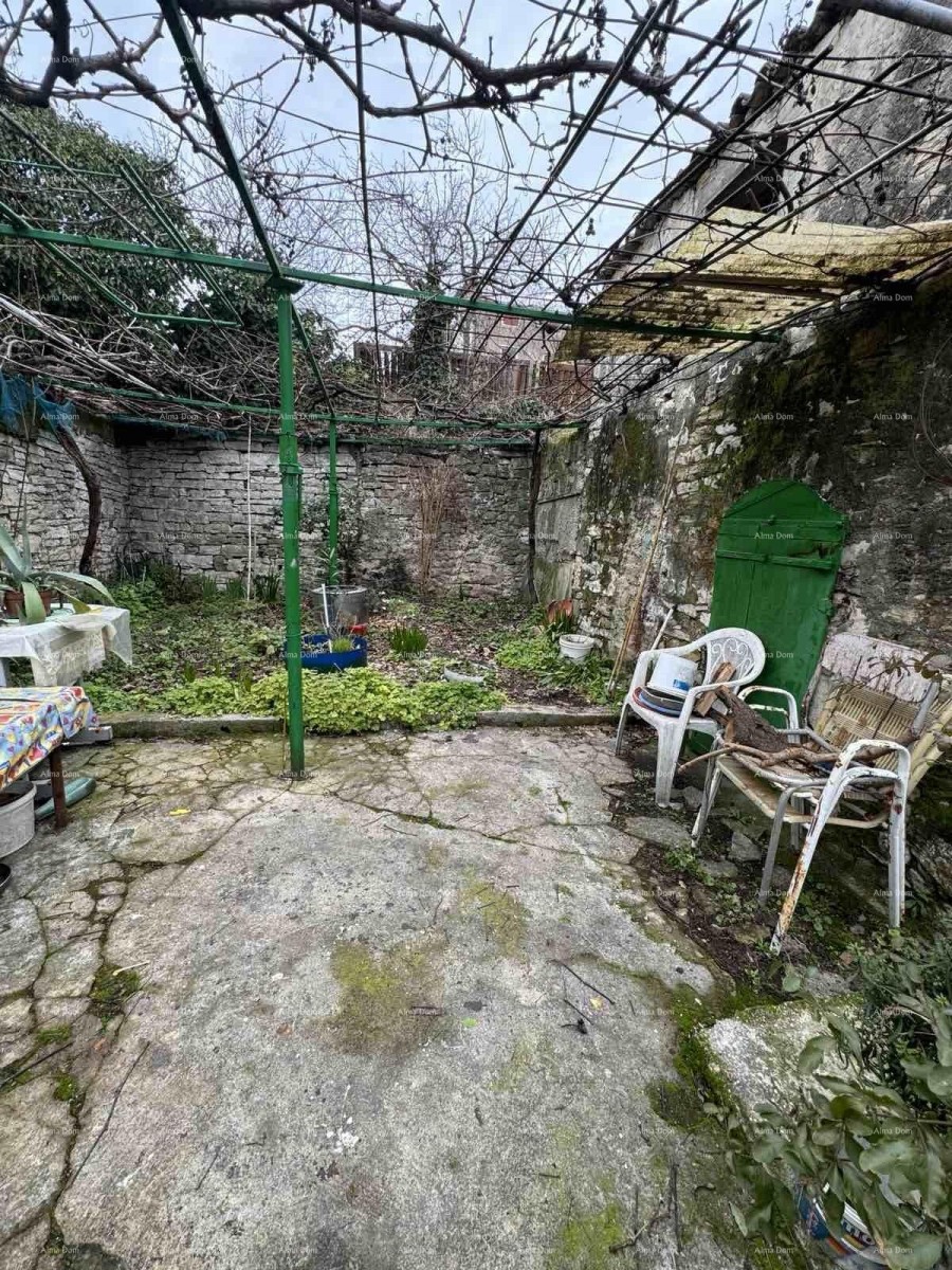 A house with a yard near the center, Buje! 23