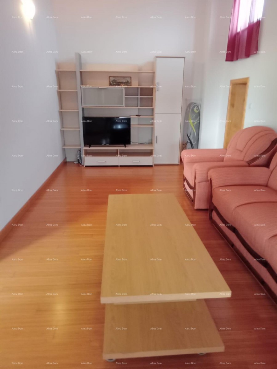 Vendita di un grande appartamento ben arredato e completamente arredato, con vista sul mare, Ližnjan! 18