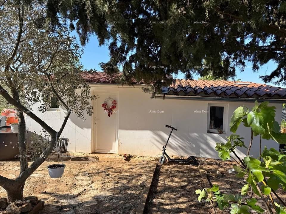 The translation of the title 1