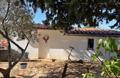 Воднян, Приземница с участком земли