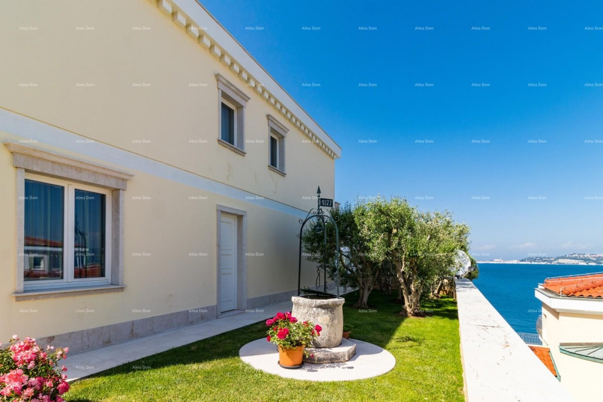 Umag Crveni Vrh. 7