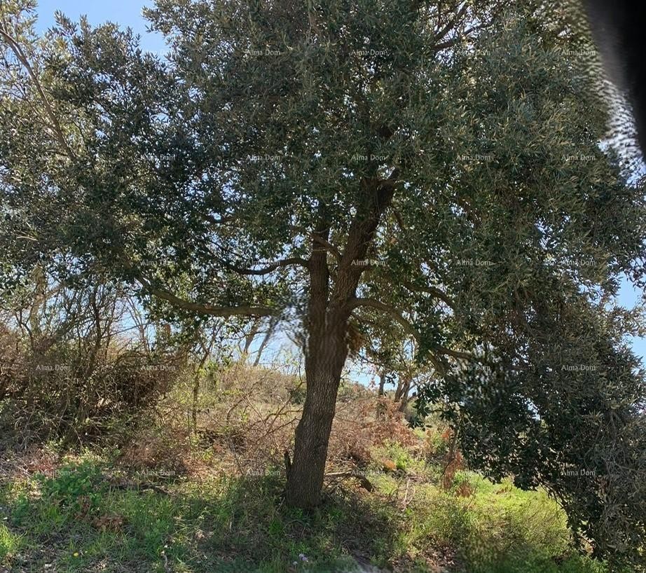 Prodaja 4 građevinske parcele, Medulin! Mukalba! 1