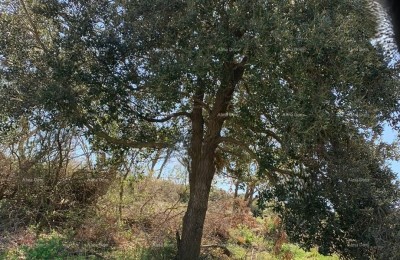 Building plots for sale, Medulin! Mukalba!