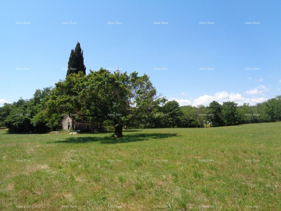 Građevinsko zemljište, Žminj. 60 EURA M2. 9