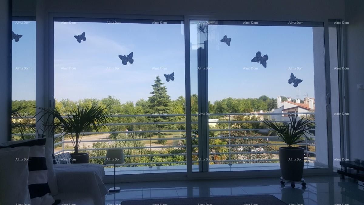 Apartment Novigrad 17