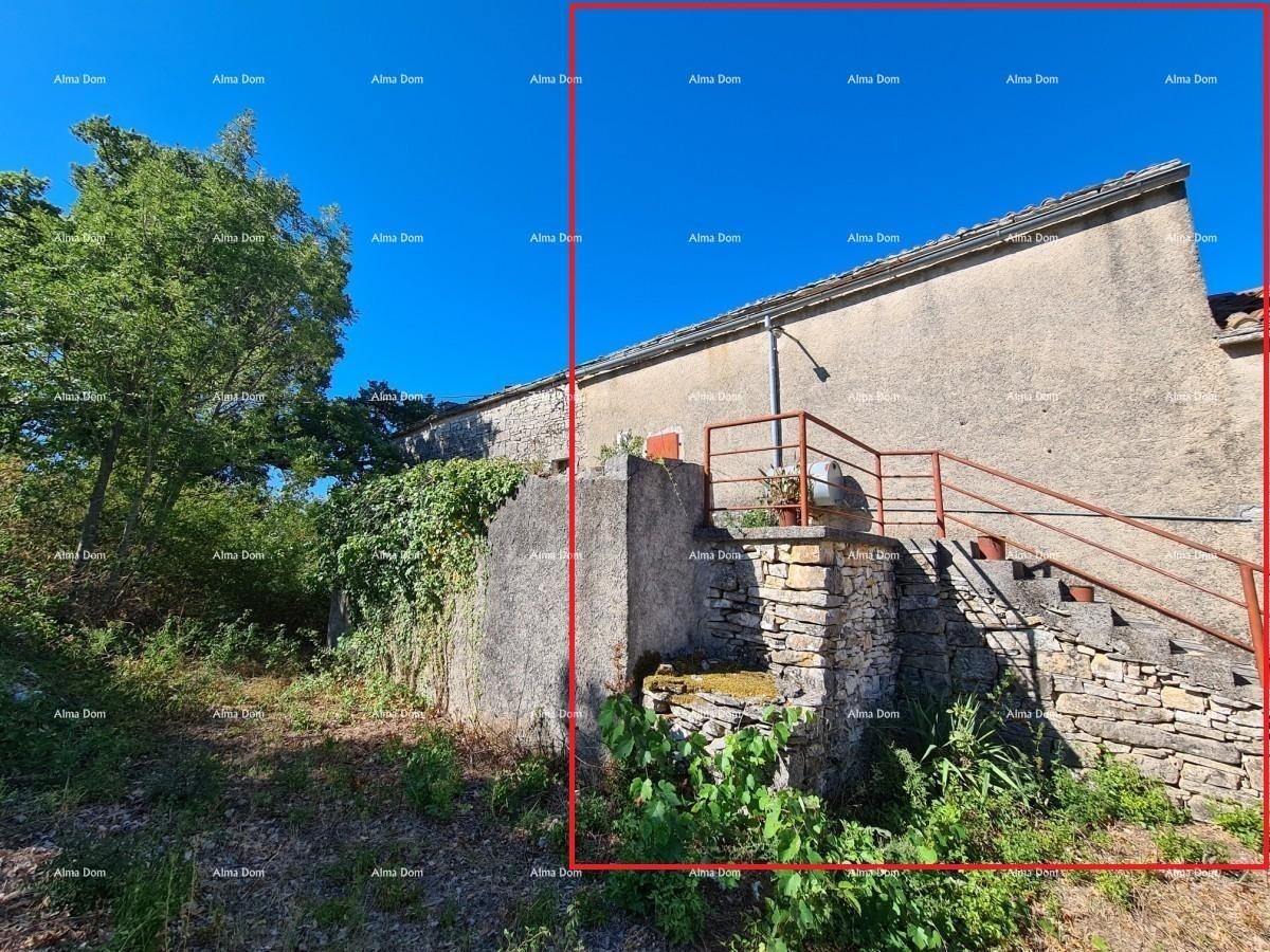 Stancija pri Vodnjanu! Veliko zemljišče 6390 m2!! 21