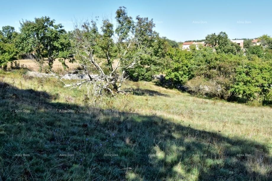 Plot Svetvinčenat 7