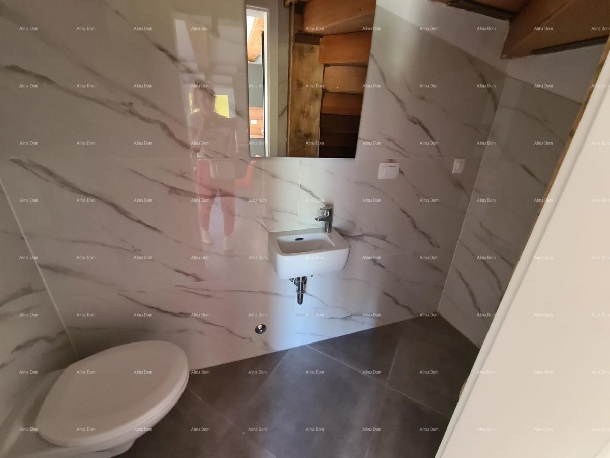 Ristrutturata casa in pietra con piscina – tranquillo villaggio vicino a Svetvinčenat 7