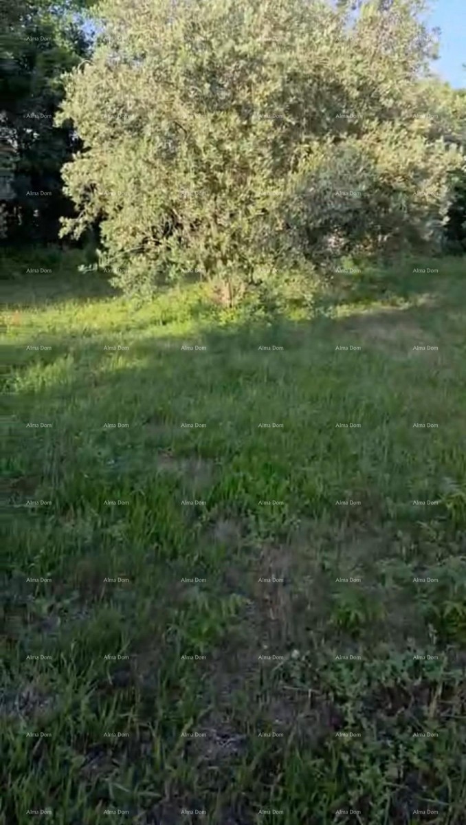 Prodaja stancije na top lokaciji, Rovinj! - Zgrada mješovite namjene s velikim imanjem na kojem se može graditi zgrada s 9 stambenih jedinica.. 2