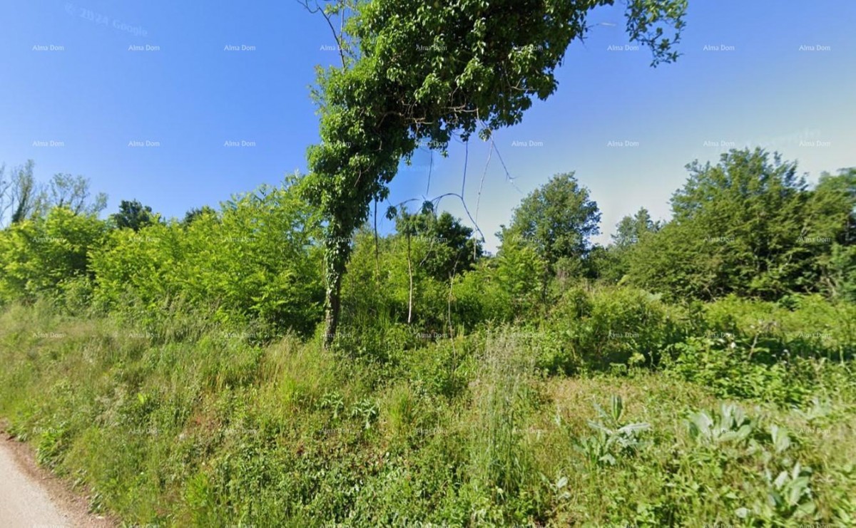 Эемля Oprtalj 1