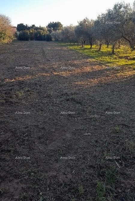 Premantura – construction land 1,793 m² 2